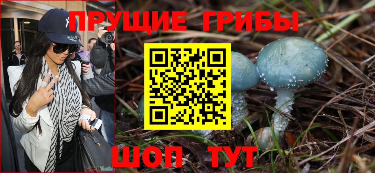 Лангепас  Псилоцибиновые грибы Psilocybine cubensis  где найти   Вход с VPN  Галлюциногенные грибы Psilocybine cubensis 