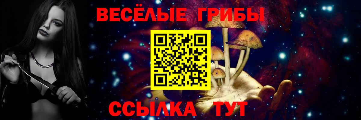 Галлюциногенные грибы Psilocybine cubensis Лангепас