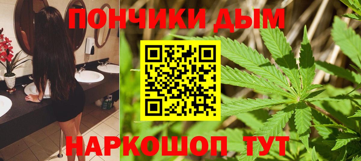 Марихуана сатива Лангепас